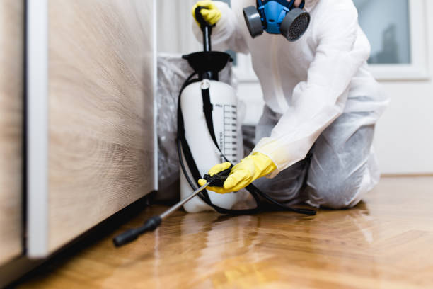 Best Pest Prevention Services  in Gang Mills, NY