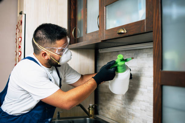 Best Pest Control Treatment  in Gang Mills, NY