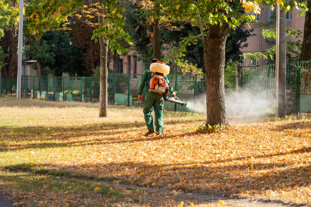 Best Commercial Pest Control Services  in Gang Mills, NY
